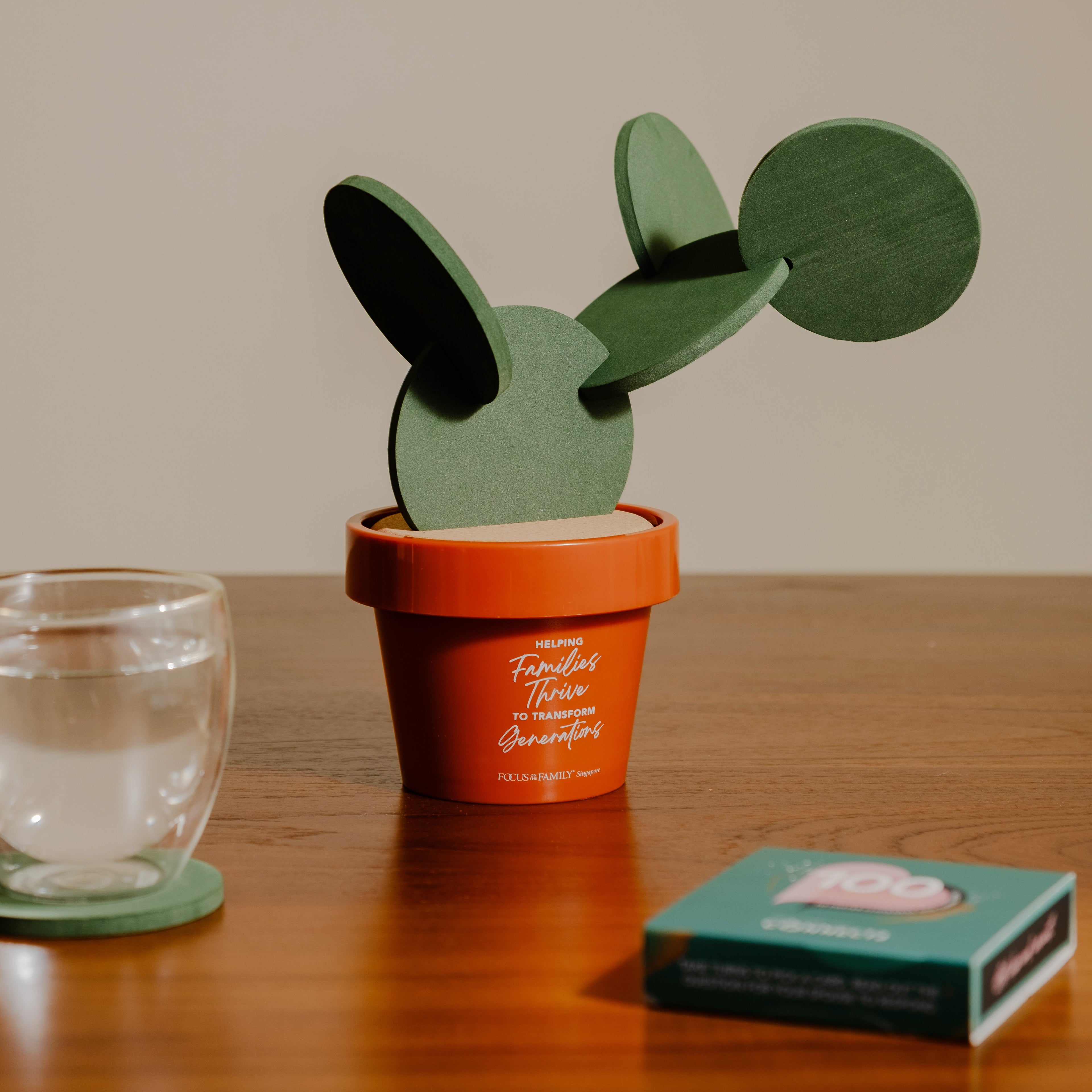 Cactus Coaster Set